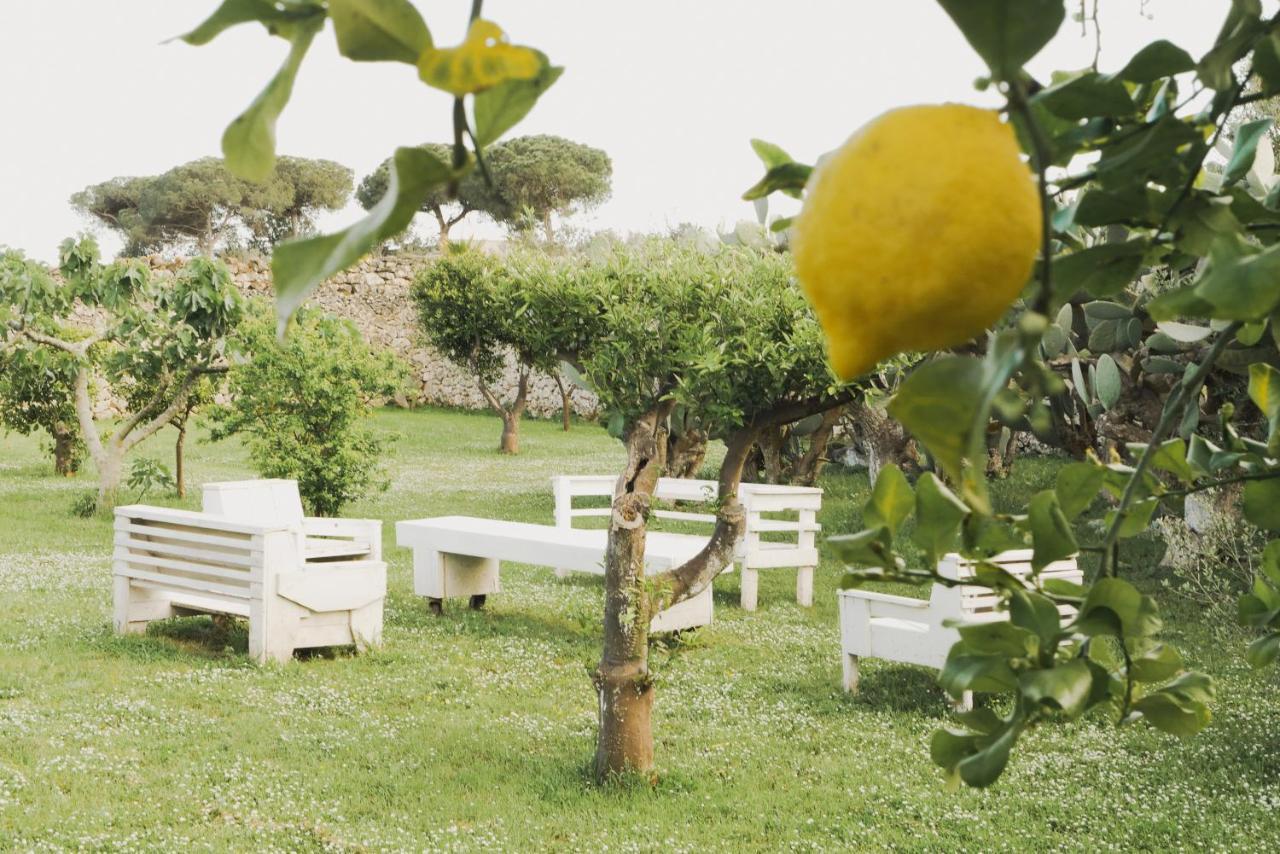 莱切Masseria Paralupi住宿加早餐旅馆 外观 照片